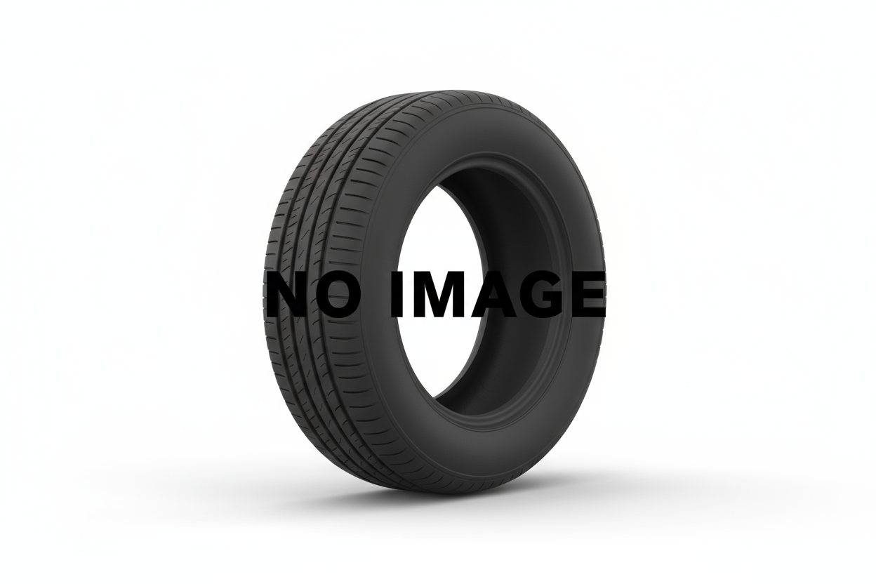 Hansinway PERFORM01 205/45R17 88W  XL Tyre — PWT Europe Ltd